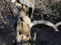 Les paysages  Land Art