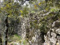 Plateau de Ganagobie (04)  Près de cette source sous roche, des vestiges de ce qui fut un abri pour les troupeaux 2/2 ...