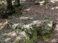 Plateau de Ganagobie (04)  La carrière de meules - Une meule non extraite certainement à cause de faiblesses ou fissures apparues dans celle-ci ...