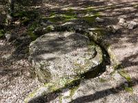 Plateau de Ganagobie (04)  La carrière de meules - Une meule non extraite certainement à cause de faiblesses ou fissures apparues dans celle-ci 1/2  ...