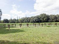 Plateau de Ganagobie (04)  Monastère ND de Ganagobie - Le cimetière de moines ...