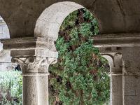 Plateau de Ganagobie (04)  Monastère ND de Ganagobie - Le cloître (fin XIIe) - Sa forme de quadrilatère irrégulier offre un véritable puit de lumière et de paix au sein de l'édifice ...