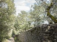 Plateau de Ganagobie (04)  Monastère ND de Ganagobie - Enclos devant le monastère ( angle murs Ouest et Sud ) ...