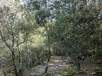 Plateau de Ganagobie (04)  Le plateau - Autre vue sur le sentier ( Ouest ) ...