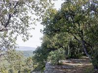 Plateau de Ganagobie (04)  Le plateau - Autre vue sur le sentier ( Ouest ) ...