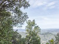 Plateau de Ganagobie (04)  Le plateau - Autre vue sur le sentier ( Ouest ) ...
