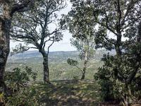 Plateau de Ganagobie (04)  Le plateau - Vue vers le Sud/Ouest ...