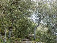 Plateau de Ganagobie (04)  Le plateau - Autre vue sur le sentier ( Ouest ) ...