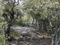 Plateau de Ganagobie (04)  Le plateau - Autre vue sur le sentier ( Ouest ) ...