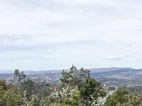 Plateau de Ganagobie (04)  Le plateau - Vue vers l'Ouest et amélanchier en fleur ...