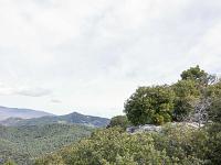 Plateau de Ganagobie (04)  Le plateau - Vue vers le Nord. Au loin la crête terminale Est de Lure. Au centre, en pointe, Tourdeau  (877 m ) ...