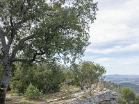 Plateau de Ganagobie (04)  Le plateau - Vue sur l'abrupt du plateau à l'Ouest ...