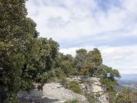 Plateau de Ganagobie (04)  Le plateau - Autre vue sur le sentier ( Ouest ) ...