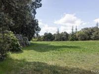 Plateau de Ganagobie (04)  Le plateau - Prairie aux abords du monastère ...
