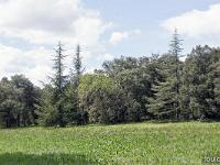 Plateau de Ganagobie (04)  Le plateau - Prairie aux abords du monastère ...