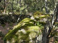 Plateau de Ganagobie (04)  Le plateau - Pierres levées au Sud ...