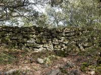 Plateau de Ganagobie (04)  Muret à l'Ouest du plateau ...