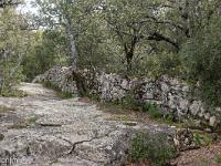 Plateau de Ganagobie (04)  Muret à l'Ouest du plateau ...