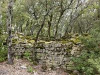Plateau de Ganagobie (04)  Ruines hors les murs devant le rempart de Villevieille ...
