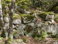 Plateau de Ganagobie (04)  Les ruines du viilage de villevieille - Vestiges à l'extrème Est du plateau 3/3 ...