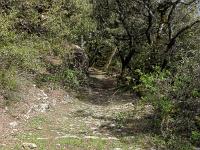 Plateau de Ganagobie (04)  Ancienne voix caladée qui descendait plein Nord sur la vallée de la Durance ...