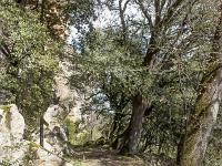 Plateau de Ganagobie (04)  Autre vue sur cette ancienne voix ...