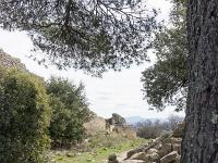 Plateau de Ganagobie (04)  Le rempart de Villevieille - Vue sur le rempart de Villevieille en arrivant depuis l'Ouest du plateau ...