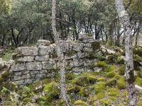 Plateau de Ganagobie (04)  Ruines hors les murs devant le rempart de Villevieille ...