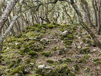 Plateau de Ganagobie (04)  Les ruines du viilage de villevieille - La nature a repris ses droits ...
