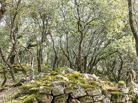 Plateau de Ganagobie (04)  Les ruines du viilage de villevieille - Autres vestiges ...