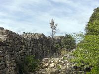 Plateau de Ganagobie (04)  Le rempart de Villevieille - Le rempart vu de l'intérieur. On voit ici les vestiges d'une des maisons adossées perpendiculairement au rempart ...