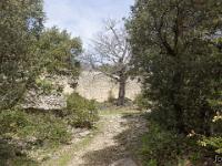 Plateau de Ganagobie (04)  Le rempart de Villevieille - Vue sur le rempart en arrivant depuis l'Est du plateau ...