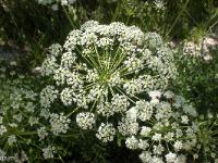 Printemps 2017  Laser de France