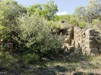 Restanques et enclos  Sur la restanque la plus basse se trouve les ruines d'un cabanon