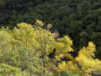 Sacrée Méouge - Edition 16  Contrastes ...