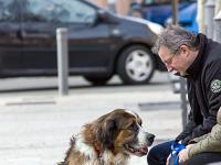 Scènes de rue  Gap - Homme et son chien