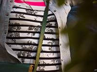 Scènes de rue  Buste