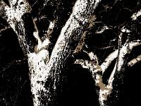 Sépia - Filtres - N&B partiel  Auprès de mon arbre