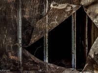 Sépia - Filtres - N&B partiel  Passage