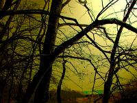 Sépia - Filtres - N&B partiel  La rivière ...