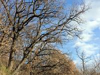 Sisteron - Ancienne route Napoléon  Autre vue sur la route