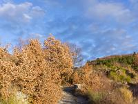 Sisteron - Ancienne route Napoléon  Autre vue sur le chemin