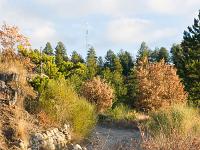 Sisteron - Ancienne route Napoléon  Muret de pierres et parapet