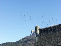 Sisteron Collet  Guerite Nord/Ouest de la citadelle et Montagne de Gache