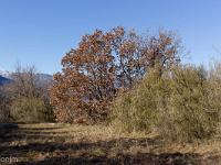 Sisteron Collet  Vers le centre du Collet
