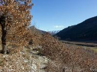 Sisteron Collet  Le sentier à l'adret du Collet. Au loin au centre poudrée de neige, la montagne de Vaumuse (1435 m)
