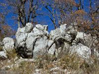 Sisteron Collet  Paysage minéral sur la crête du Collet