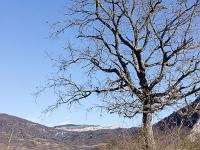 Sisteron Collet  Le sentier