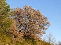 Sisteron - Route Napoléon  Je quitte la route Napoléon pour prendre une piste vers le Nord