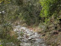 Saint Donat le Haut  Le sentier (GR 653D)